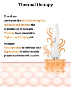 Electroporation Device thermal function