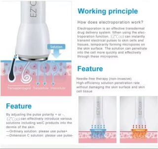Electroporation Device EMS